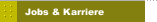 Jobs & Karriere